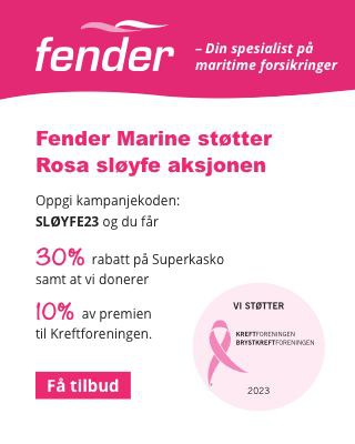 Fender 320 x 400 (V) 1.jpg