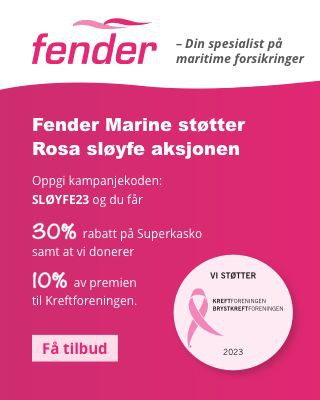 Fender 320 x 400 (V) 2.jpg