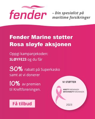 Fender 320 x 400 (V) 2.jpg